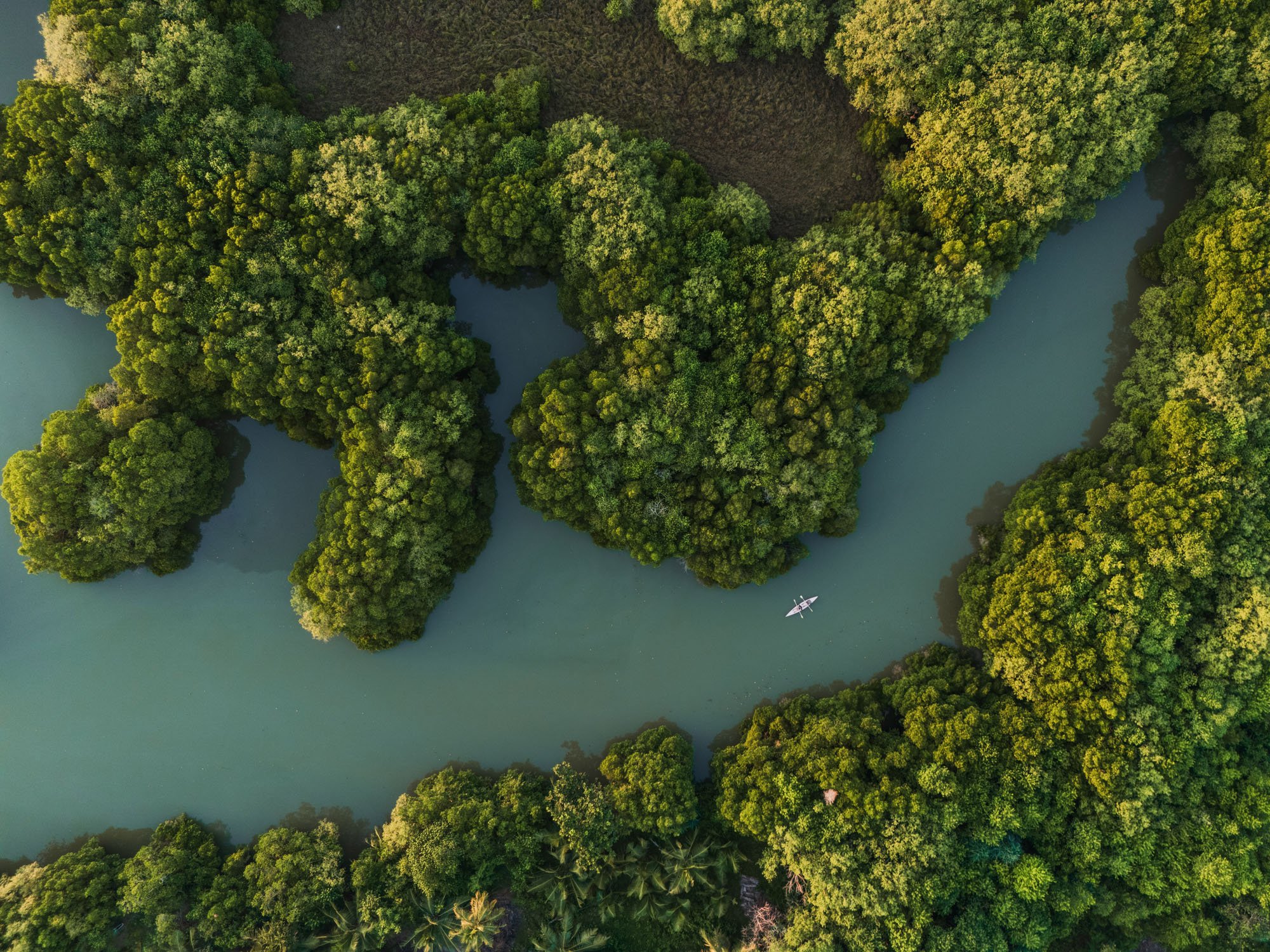 Marex — sustainable and responsible financial practice